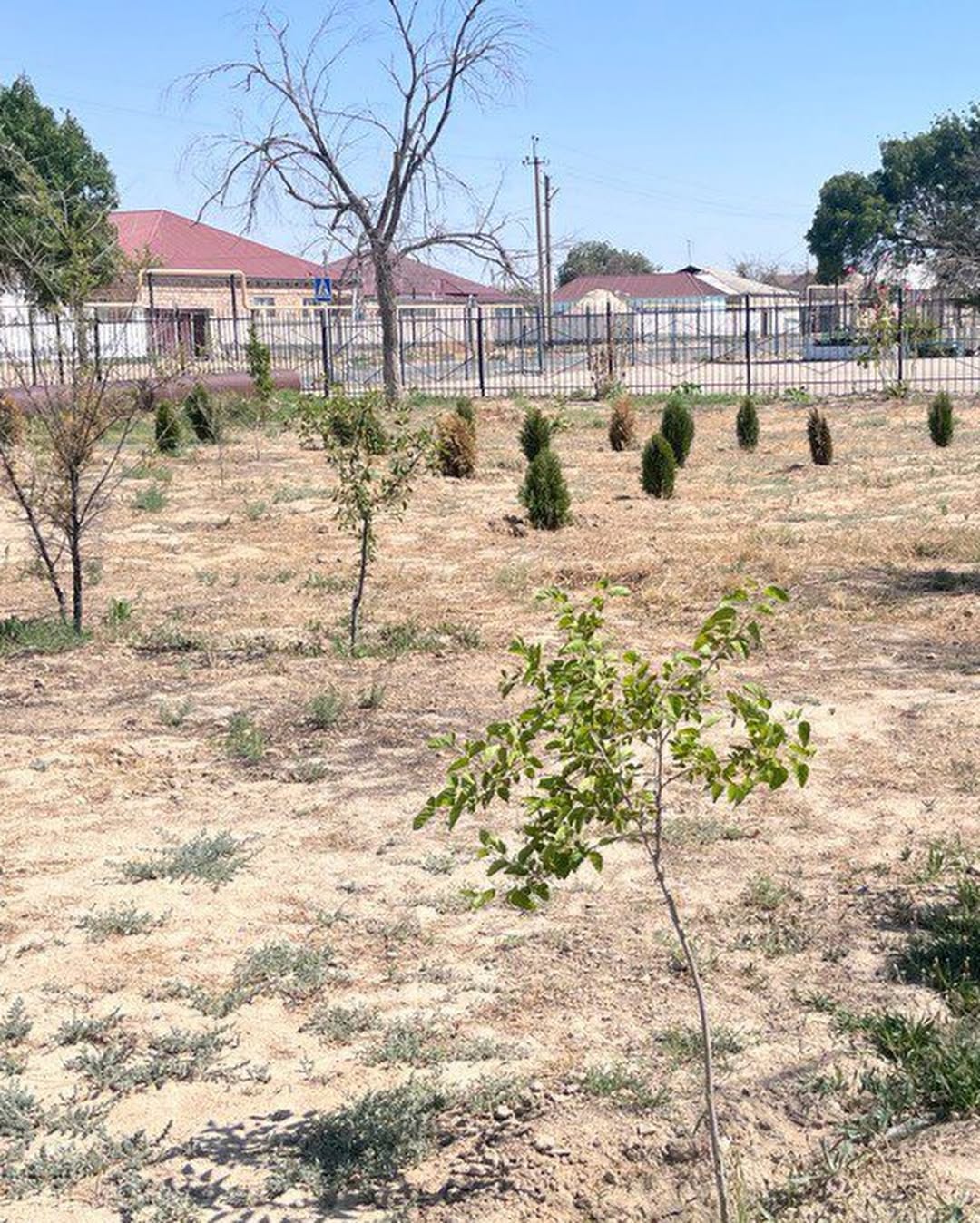 Маусым айында Маңғыстау облысы Мұнайлы ауданындағы «Қызылтөбе лицейі» коммуналдық мемлекеттік мекемесінің аумағын көгалдандыруға бөлінген қаражаттың орындалуына тәуелсіз мониторинг жүргізілді.