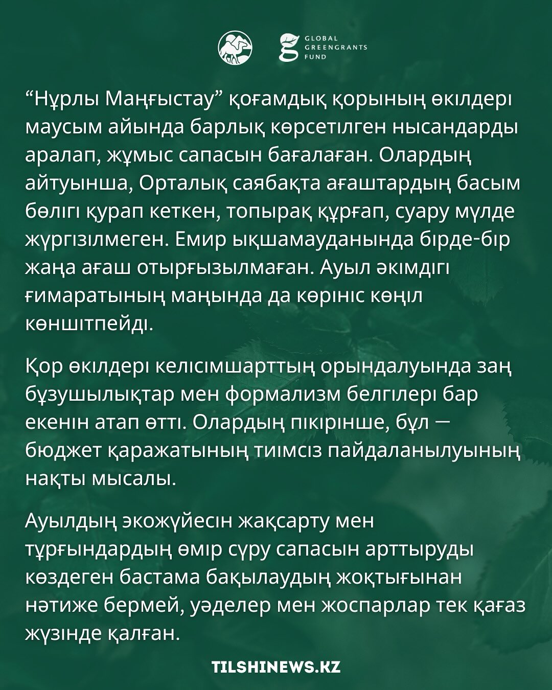 Батыр ауылын көгалдандыру жобасына 5 миллион теңге қарастырылды, 3 миллион жеңімпазға берілді, алайда ағаштардың 80%-ы қурап қалды.
